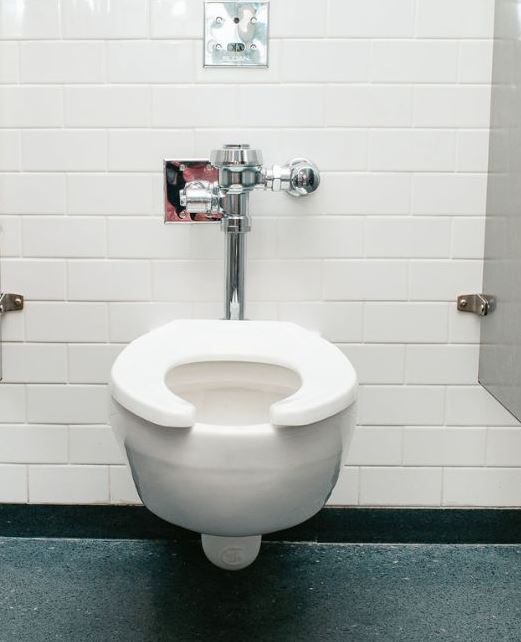 Toilet flush control height